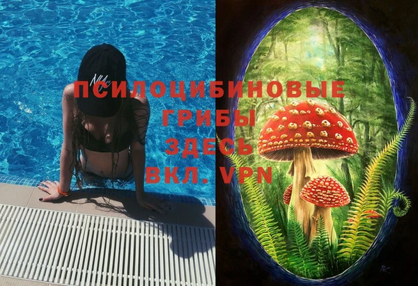 амфетамин Алексин