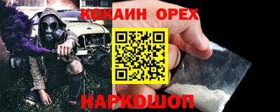 стафф Кингисепп