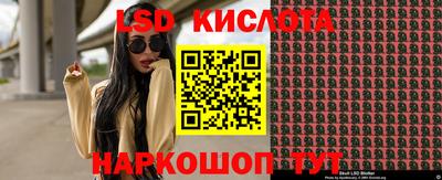стафф Кингисепп