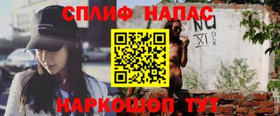 стафф Кингисепп