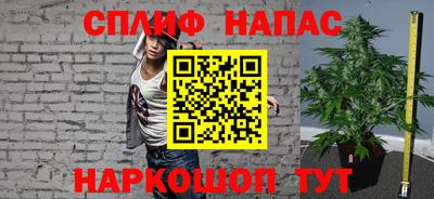 стафф Кингисепп