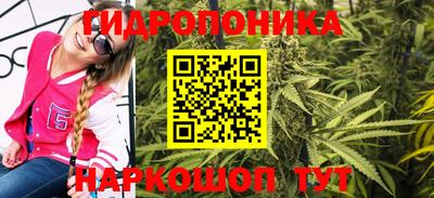 стафф Кингисепп