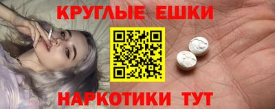 стафф Кингисепп