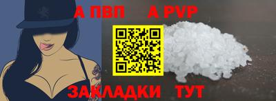стафф Кингисепп