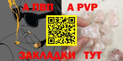 стафф Кингисепп