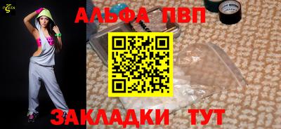 стафф Кингисепп