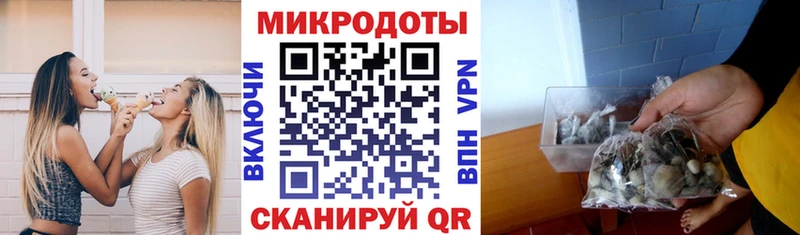 Псилоцибиновые грибы GOLDEN TEACHER  Ставрополь 
