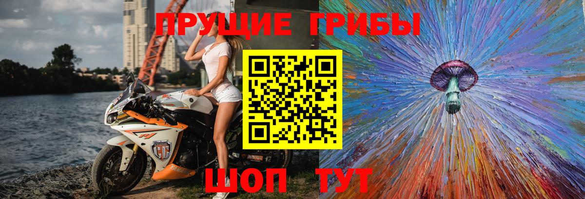 Галлюциногенные грибы Magic Shrooms Ставрополь