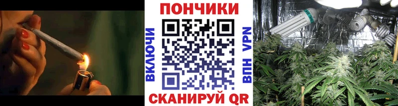 Шишки марихуана планчик  Ставрополь 