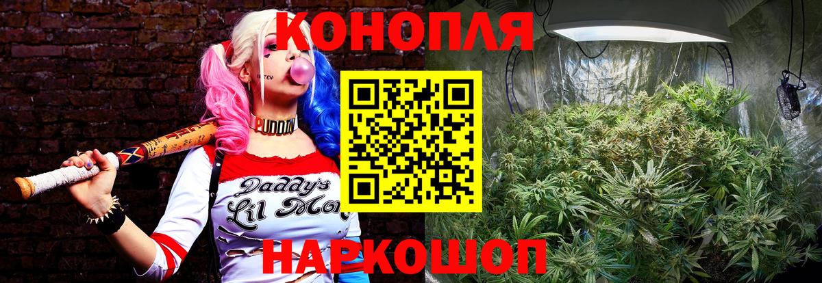 Конопля Bruce Banner  Бошки марихуана THC 21%  Каннабис семена  Ставрополь  Вход с VPN 
